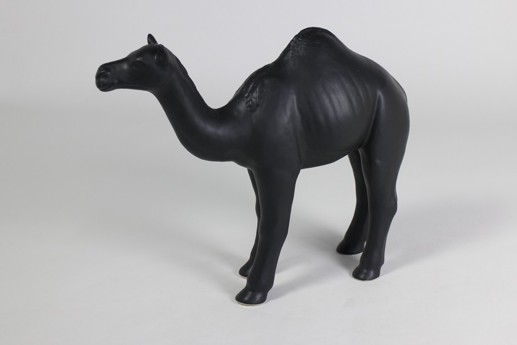 Camel