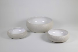 Tableware Shape