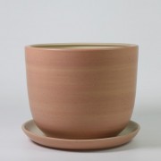 Flower Pot