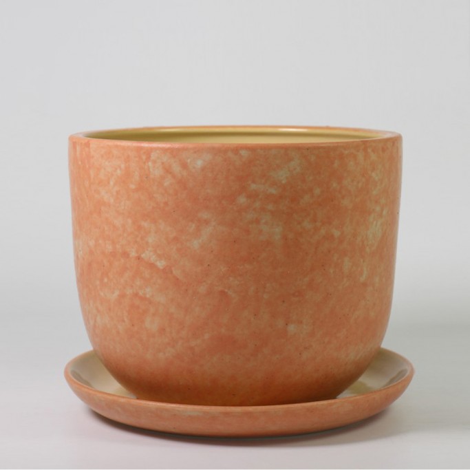 Flower Pot