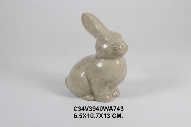 rabits