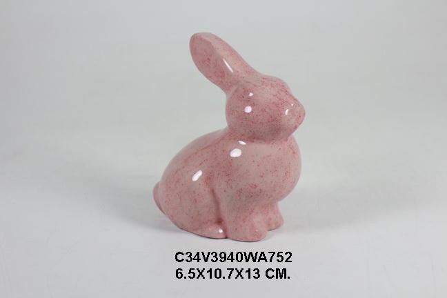 rabits