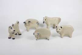 Animal