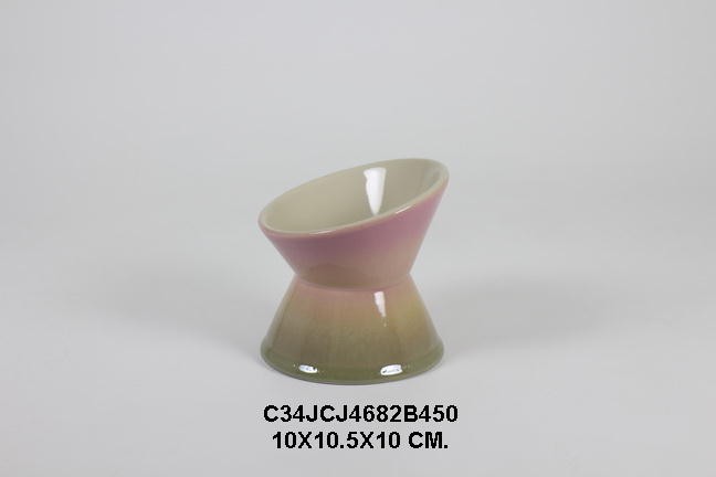 Pet Food Bowl