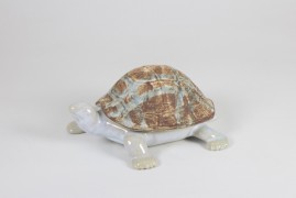 TURTLE CASE
