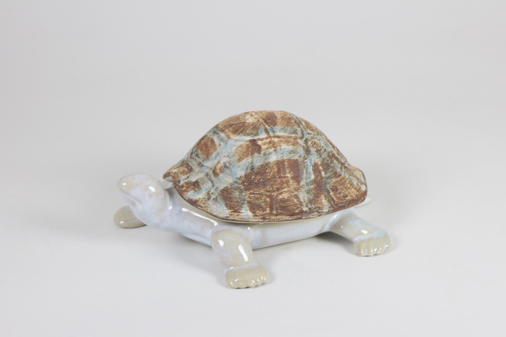 TURTLE CASE